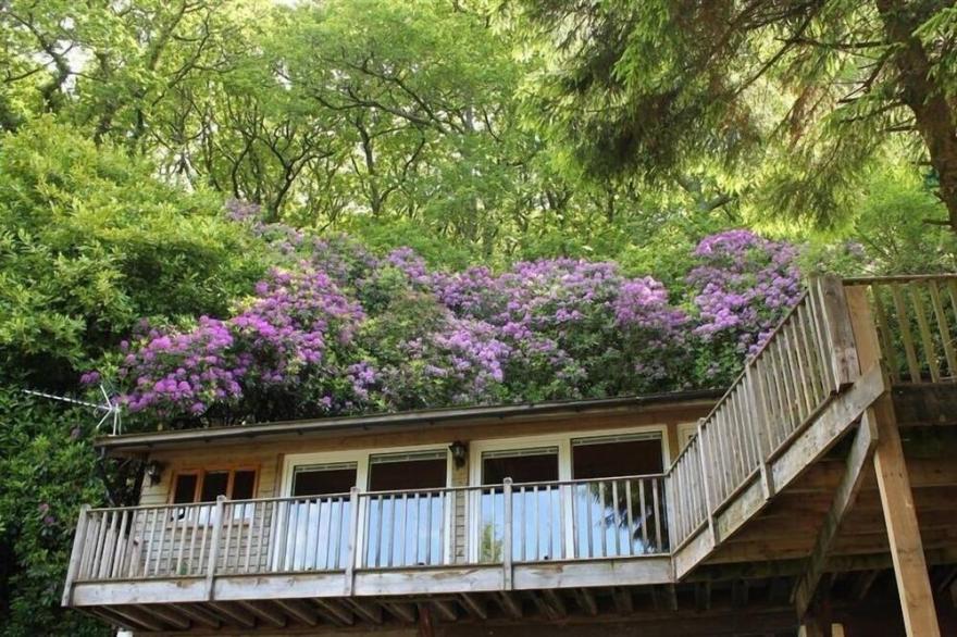 TREETOPS, pet friendly, with a garden in Woody Bay