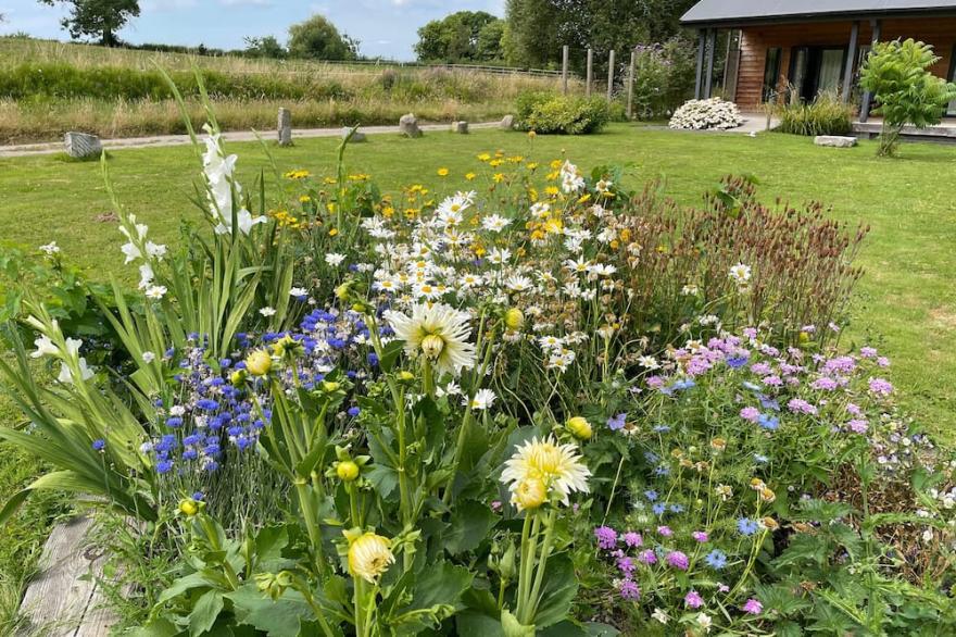 FOXGLOVE, Pet Friendly, With A Garden In West Pennard