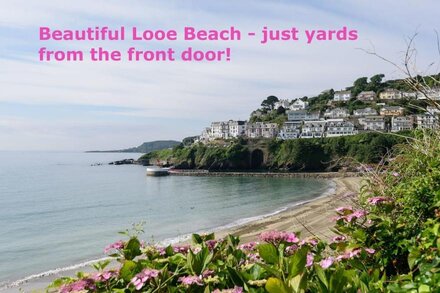 Fabulous apartment for 8 in the heart of East Looe