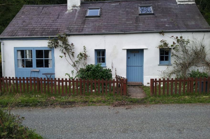 Charming Cottage, near Newport