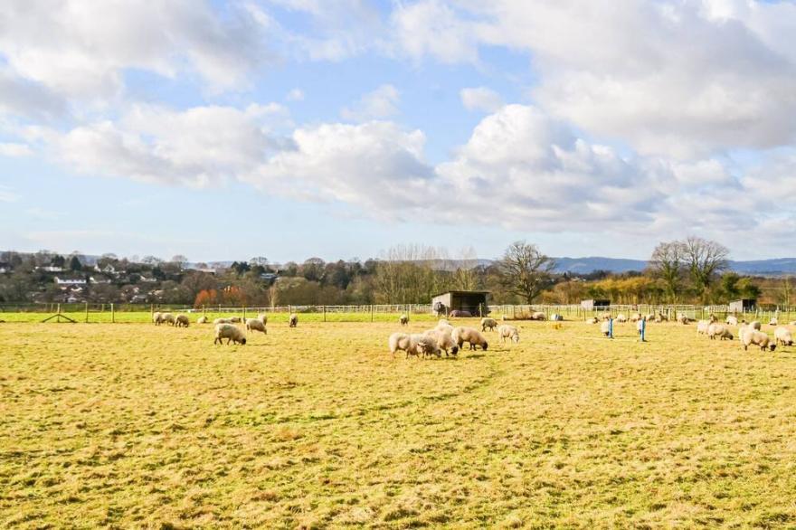 1 bedroom accommodation in West Chiltington