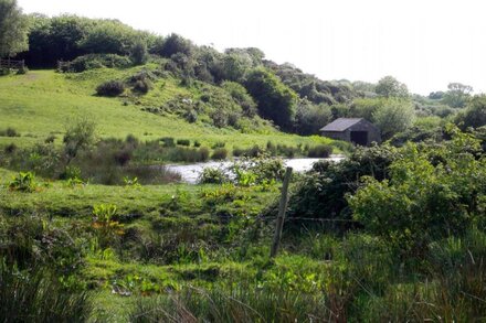 Wren Cottage and Nature Reserve