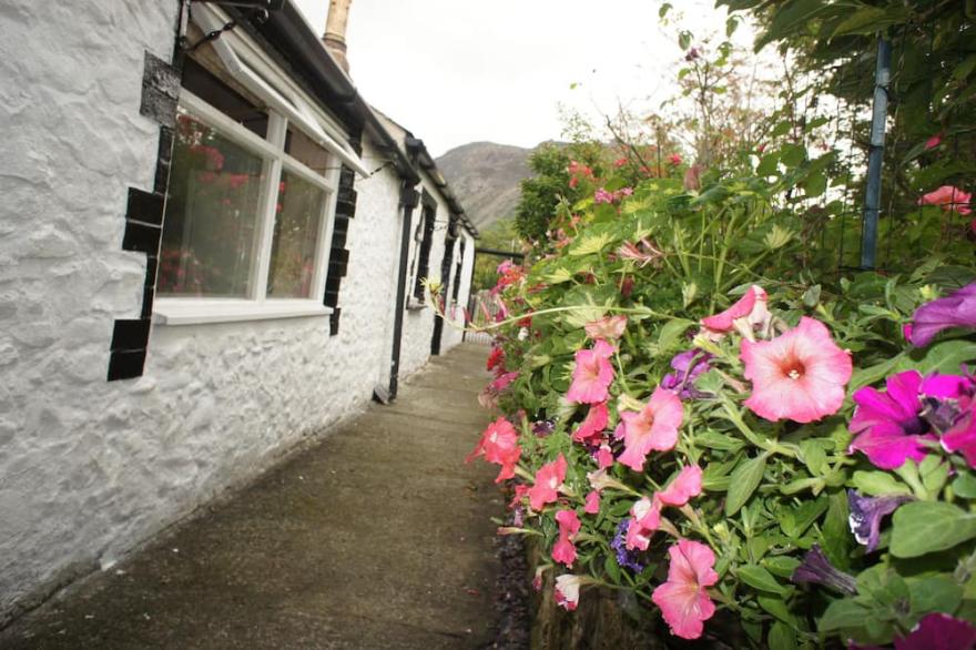 Seaside Cottage, dog friendly, close to beach & Snowdonia National Park