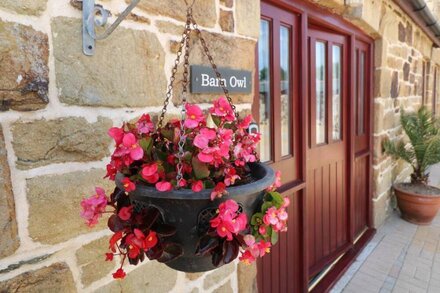 BARN OWL, pet friendly, with a garden in Quintrell Downs