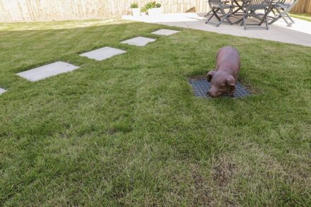 BLUEBELL HOUSE, pet friendly, country holiday cottage in Crantock