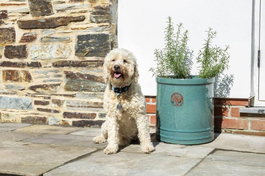 A beautifully restored Cornish cottage retreat with private hot tub