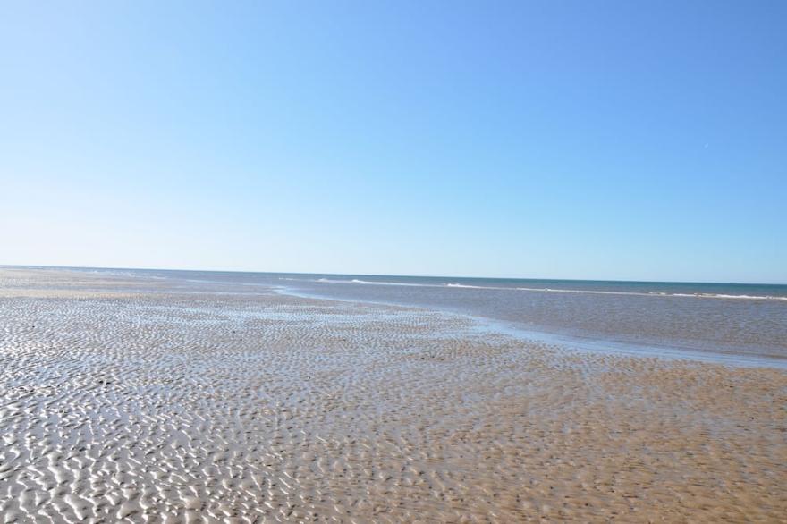 pets stay free 3 bedroom caravan at heacham beach