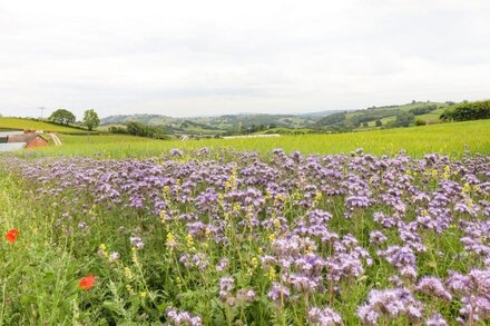 BEUDY BACH Y GARTH, romantic, character holiday cottage in Newtown