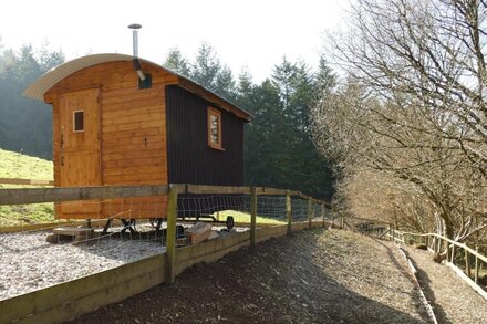 Shepherds Hut 