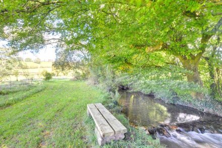 Pipistrelle in the beautiful Llanwrda