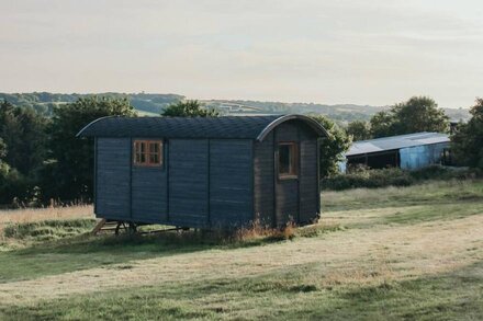 Stunning Shepherd's Hut Retreat, North Devon