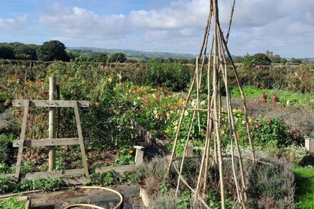 Spacious Converted Barn on a Flower Farm, Devon Countryside, Family Friendly