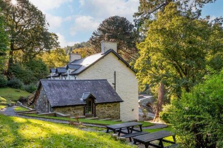 Tylwyth Teg Pedwar in Betws-y-Coed