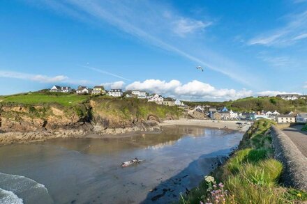 Driftwood Cottage in Haverfordwest