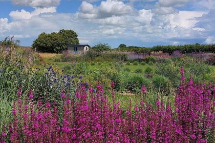 Harrow Cottage - Two Bedroom House, Sleeps 4