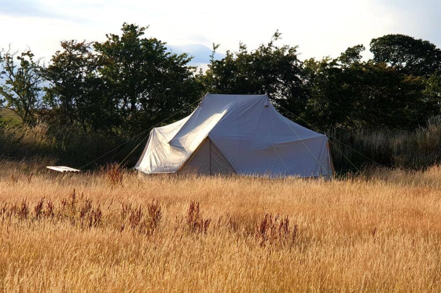 Stunning 6m Emperor Tent, Located Near Whitby