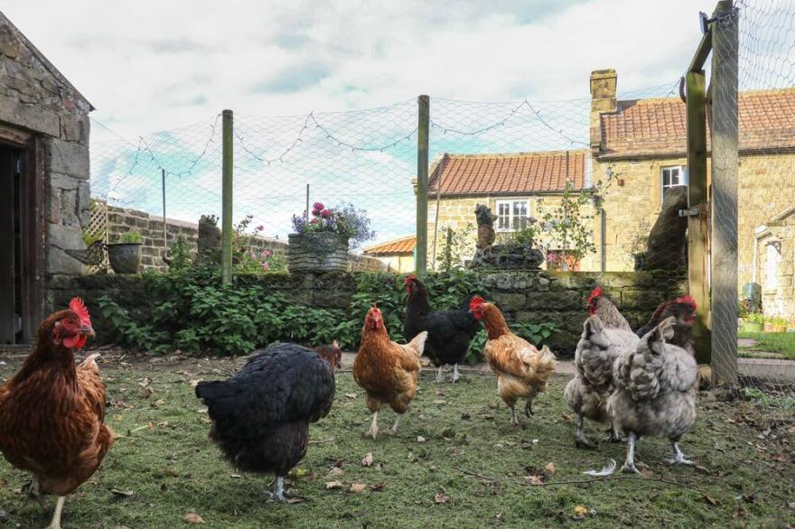 CHURCH FARM ANNEX, pet friendly, with a garden in Ripon