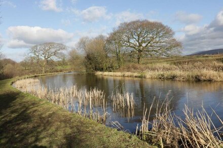 WYRESIDE, pet friendly, character holiday cottage in Garstang