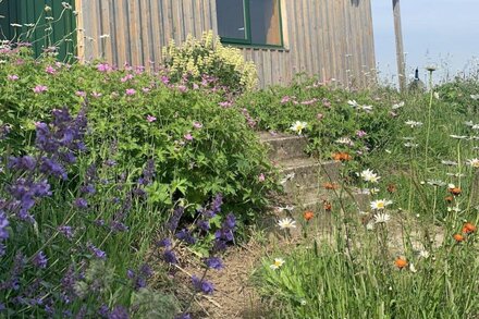 The Bothy at Coneloch -  a rural that sleeps 2 guests  in 1 bedroom