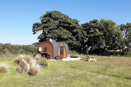 Hornbeam - Luxury glamping pod, Laneast  Cornwall