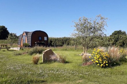 Rowan - Luxury glamping pod, Laneast, Cornwall