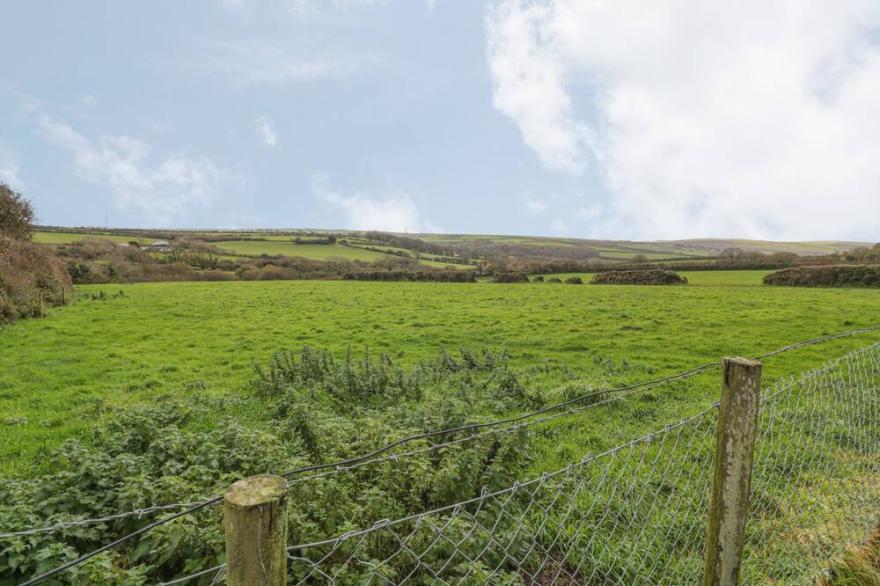 LITTLE LANES, Pet Friendly, With A Garden In Boscastle