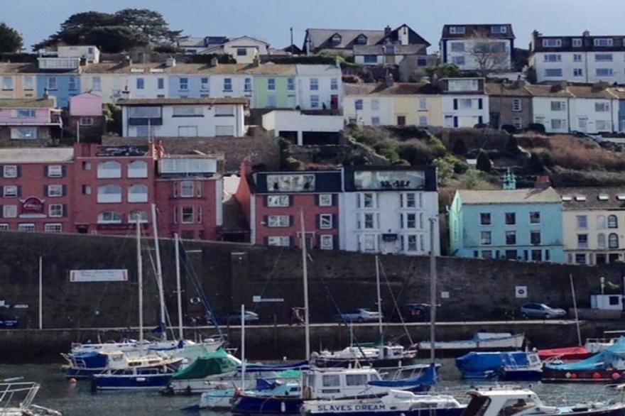 Brixham Inner harbour cottage  - sunny quayside location - Private Parking.