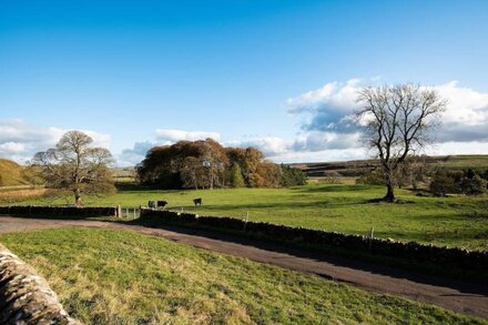 WALLTOWN BYRE - Stylish, dog friendly barn conversion with hot tub sleeping 6