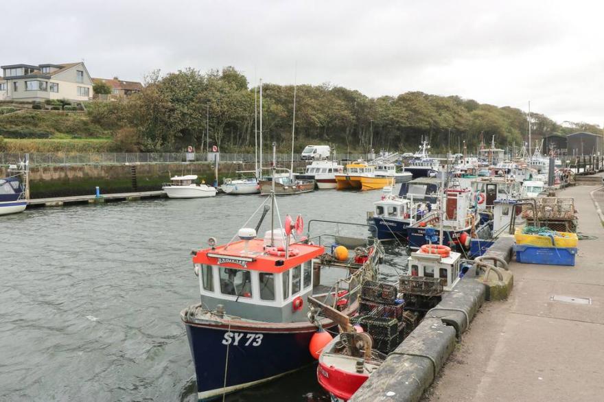 SEA SPRAY, pet friendly, country holiday cottage in Eyemouth