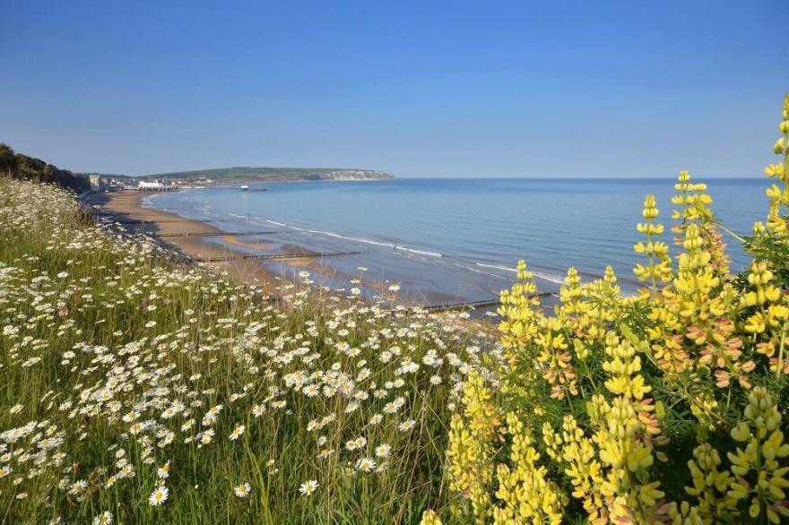 182 Sandown Bay Holiday Park -  a chalet that sleeps 4 guests  