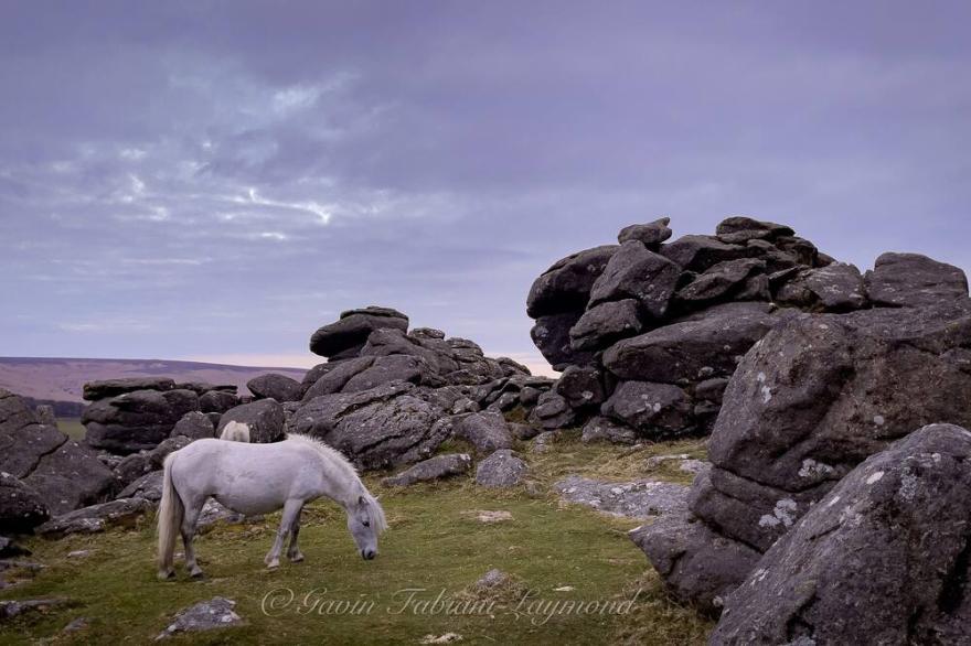 Hound Tor Barn Dartmoor