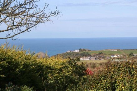 CHILOWAN, pet friendly, character holiday cottage in Tintagel