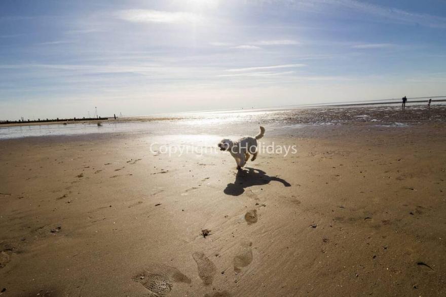 6 berth dog friendly caravan in Hunstanton in Norfolk ref 13014L