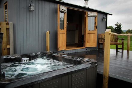 Rose -  a shepherds hut that sleeps 2 guests  in 1 bedroom