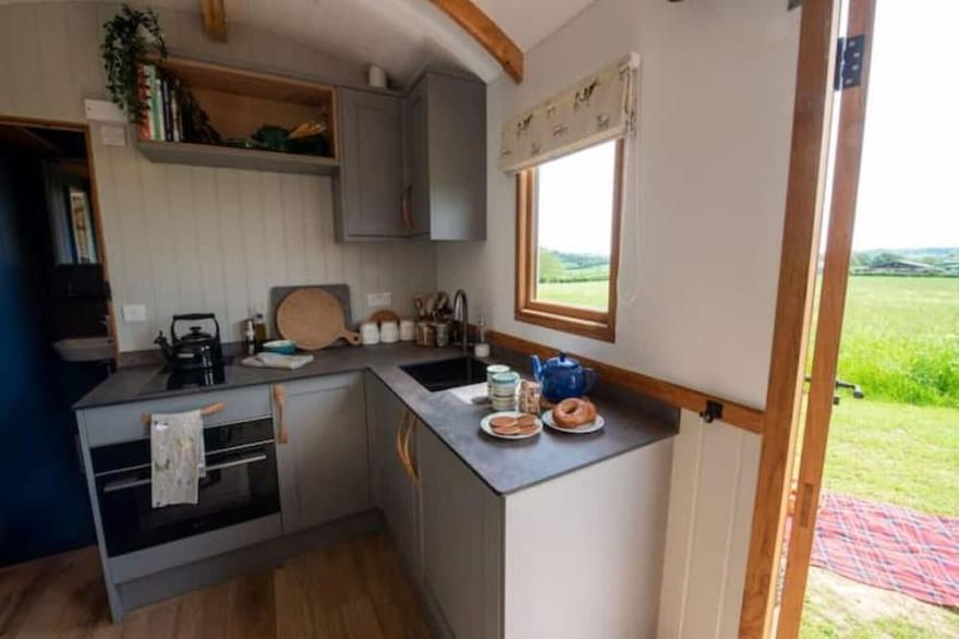 Luxury Shepherds Hut, hot tub & panoramic views