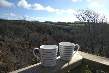 Coastal treetop cabin, spectacular views, walks from door