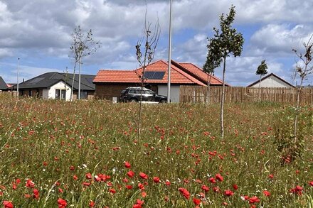 Beautiful Windmill Cottage