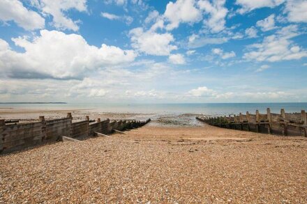 Sea Dog in Whitstable