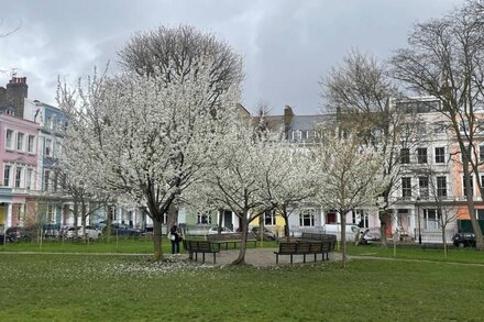 Smart, Quiet, Newly Refurbished Apartment in Primrose Hill