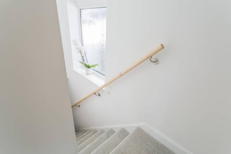 Y Bwthyn -  a dog that sleeps 6 guests  in 3 bedrooms