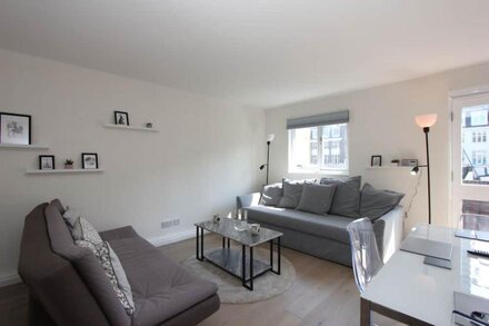 Central London Apartment Zone 1