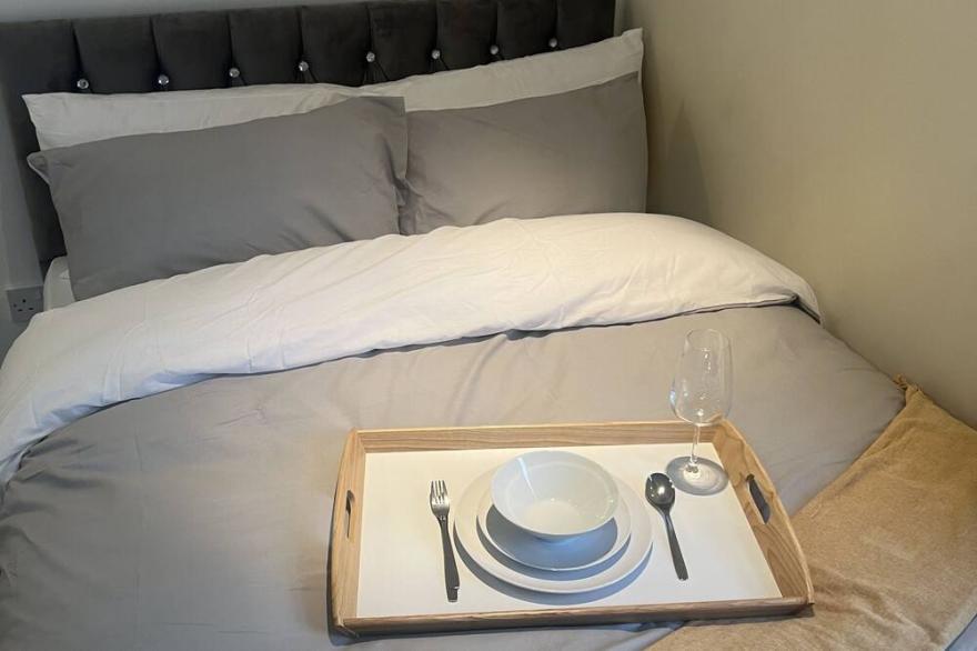 Large Modern Studio Flat