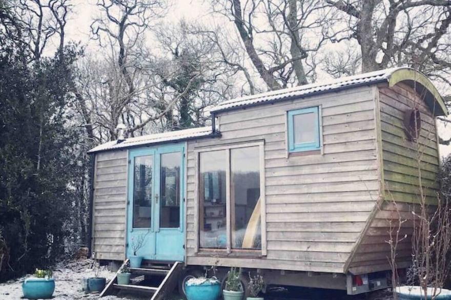 Tree house and shepherds hut