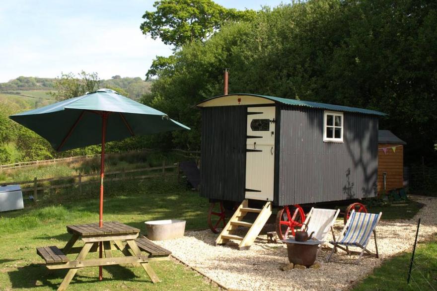 Baabara - Shepherds Hut - in Paddock with Alpacas & Sheep - Spa & Indoor Pool