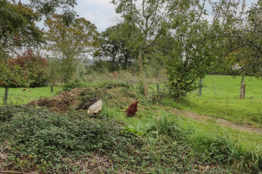 BRIMLEY BARN, pet friendly, character holiday cottage in Milverton
