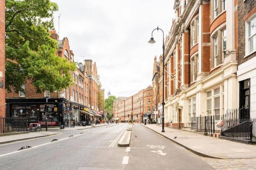 Cozy Apt in Central London