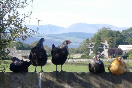 KEEPERS LODGE AT BRACKENTHWAITE HOLIDAYS, pet friendly in Arnside