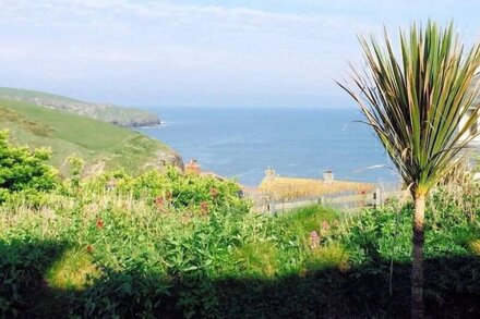 CASTAWAY, family friendly, with open fire in Port Isaac