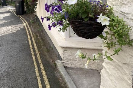 Fernery Lodge - apartment in the centre of Lynton