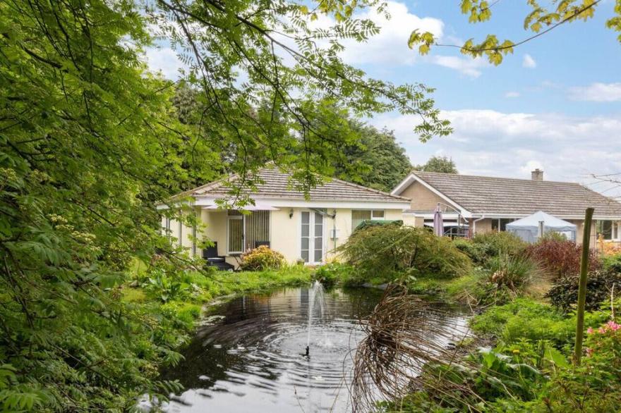 Monkey Puzzle Retreat